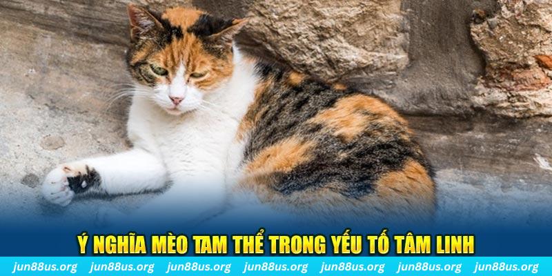 Ý nghĩa mèo tam thể trong yếu tố tâm linh