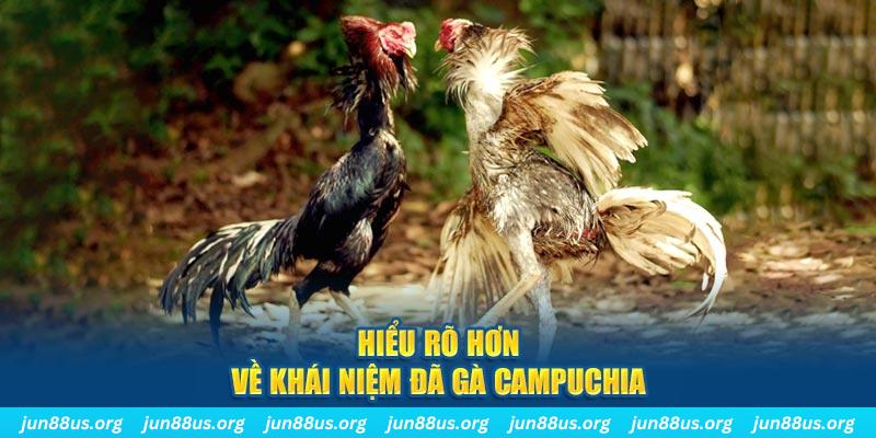 Hiểu rõ hơn về khái niệm đá gà Campuchia 